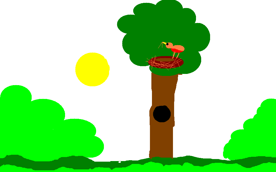 Bird, Tree